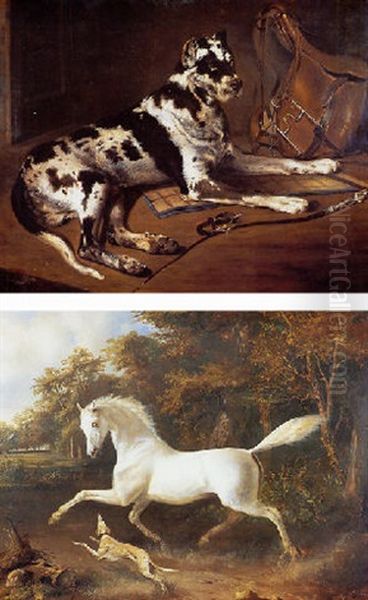 Chien Couche Pres De La Sellerie Oil Painting by Bernard de Gempt