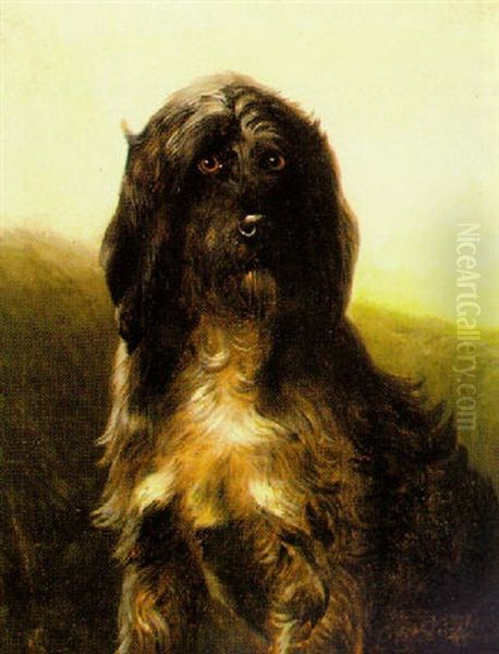 Portrait Of A Dog Oil Painting by Bernard de Gempt