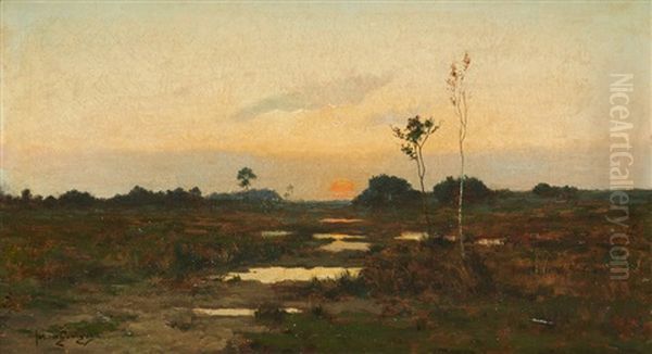 Coucher De Soleil Sur Le Marais Oil Painting by Jos van Genegen