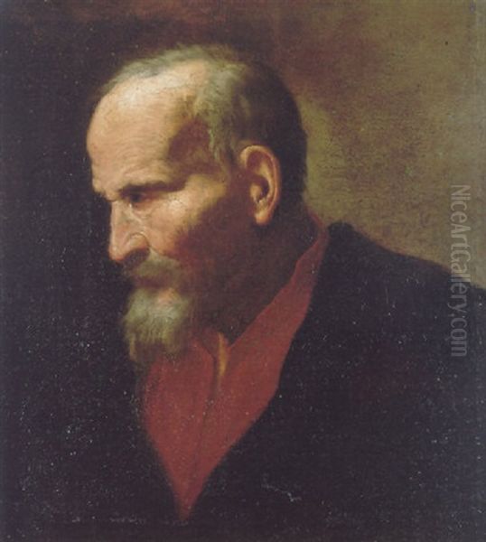 Head Of A Bearded Man Oil Painting by Benedetto Gennari the Younger