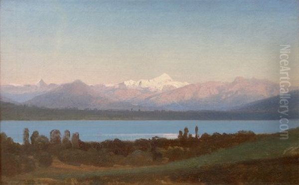 Le Mont Blanc - Le Lac Leman Depuis Genthod Oil Painting by Jean Philippe George-Julliard