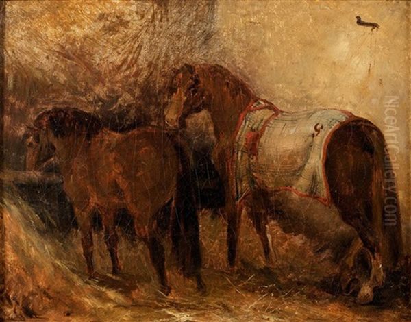 Etude De Cheval Espagnol Dans Une Ecurie (study) Oil Painting by Theodore Gericault