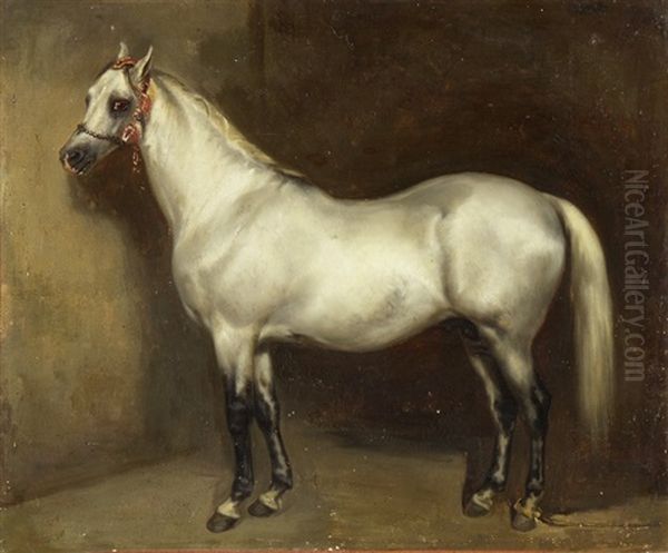 Stolzer Schimmel Oil Painting by Theodore Gericault