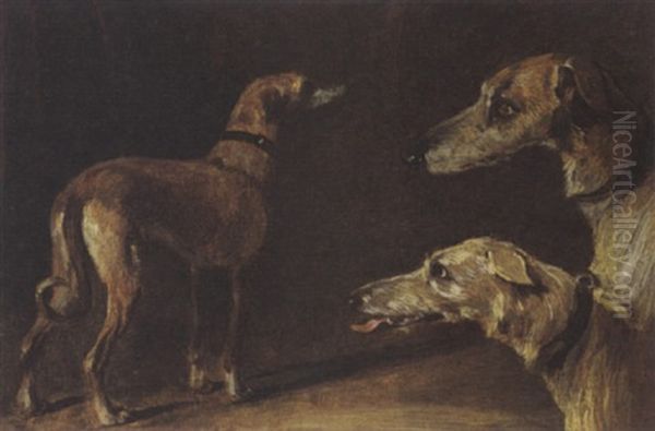 Study Of Three Dogs Oil Painting by Theodore Gericault