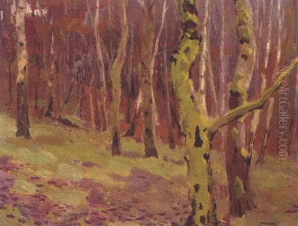 Birkenwald Oil Painting by Mikhail Markianovich Germanshev