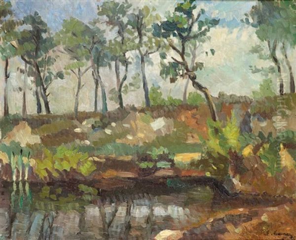 Paysage A L'etang Oil Painting by Paul Elie Gernez