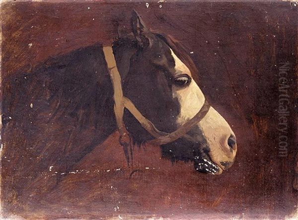 Tete De Cheval En Profil Oil Painting by Jean-Leon Gerome