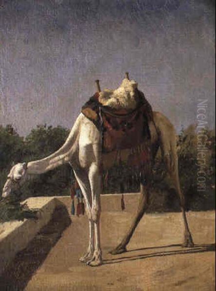 Camel Oil Painting by Jean-Leon Gerome