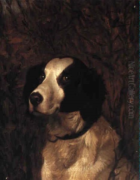 Portrait Of A Spaniel Oil Painting by Jean-Leon Gerome