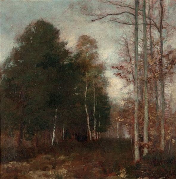 Paysage Arbore Oil Painting by Henri Gervex