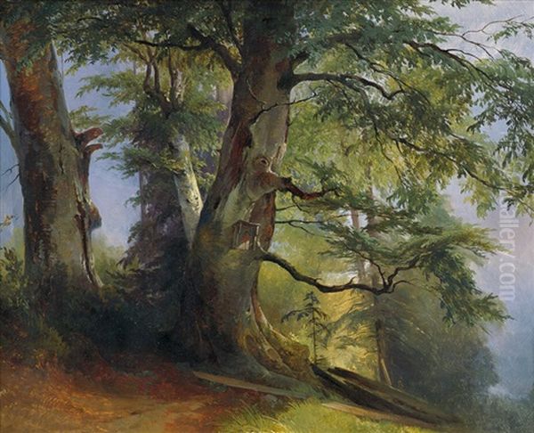 Waldpartie Oil Painting by Georg Geyer