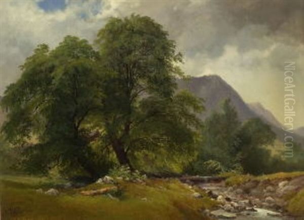 Hohe Baume Am Bachufer Oil Painting by Carl Geyling