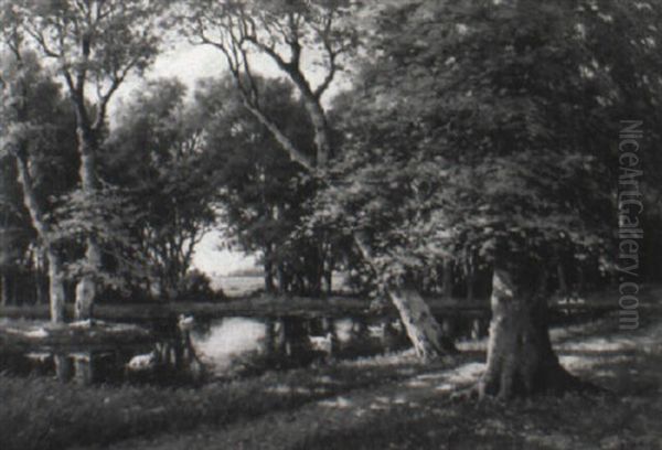 Ducks On A Pond In A Wooded Landscape Oil Painting by Adriaan Marinus Geyp