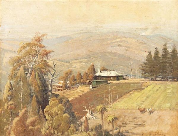 The Dandenong Ranges From Ferny Creek by Robert Edgar Taylor Ghee