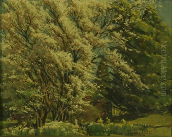 Spring Blossom by Robert Edgar Taylor Ghee