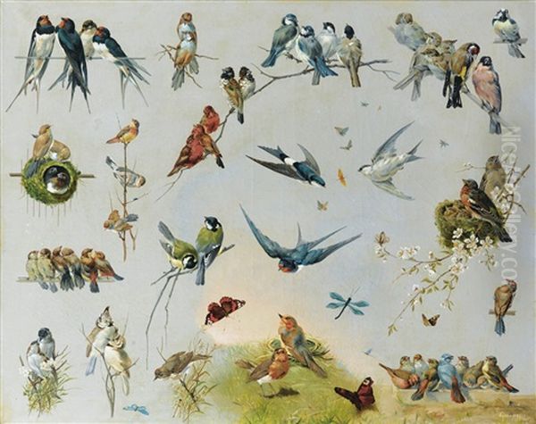 Etudes D'oiseaux Oil Painting by Hector Giacomelli