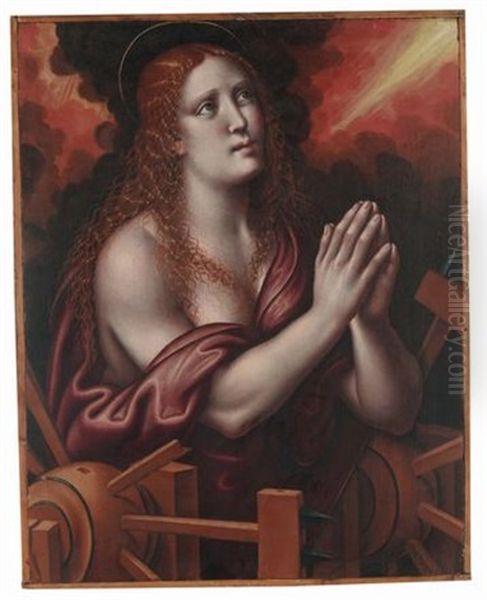 Maddalena Penitente Oil Painting by  Giampietrino