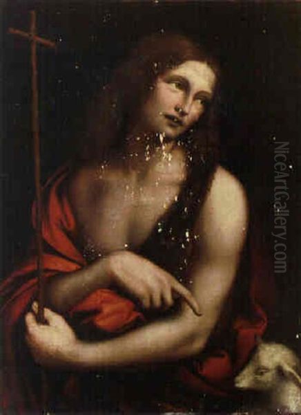 Saint John The Baptist Oil Painting by  Giampietrino