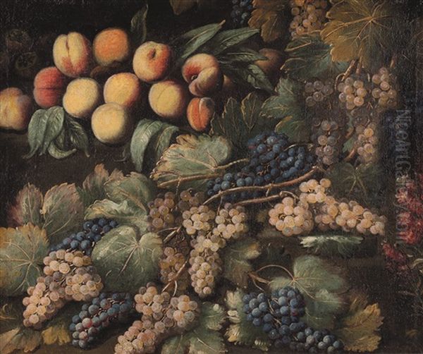 Pesche E Tralci D'uva E Altri Frutti Oil Painting by Antonio Gianlisi