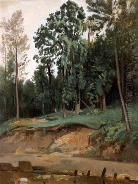 Arbre A Civita-castellana Oil Painting by Jean-Baptiste Adolphe Gibert