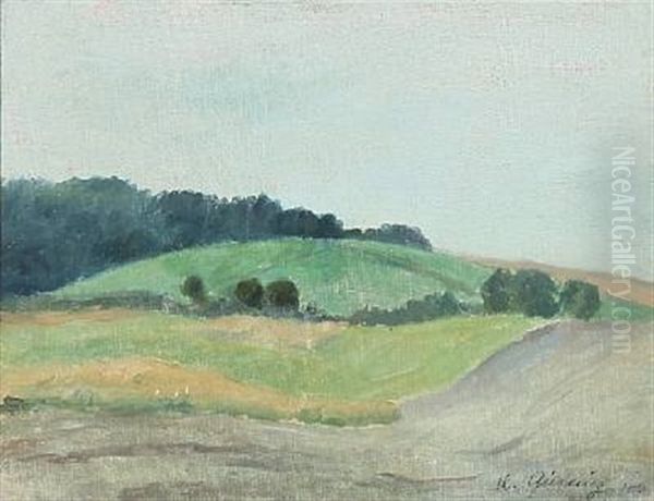 Landscape, Haregabsbakken, Gribskov Oil Painting by Harald Giersing