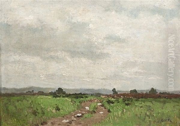 Sommerliche Heidelandschaft Mit Einem Feldweg Oil Painting by Josua Von Gietl