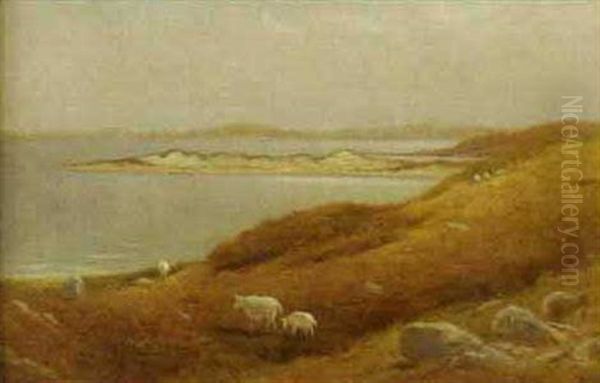 Coastal Scene With Grazing Sheep Oil Painting by Charles Henry Gifford