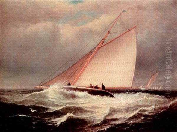 The Yacht Race Oil Painting by Charles Henry Gifford