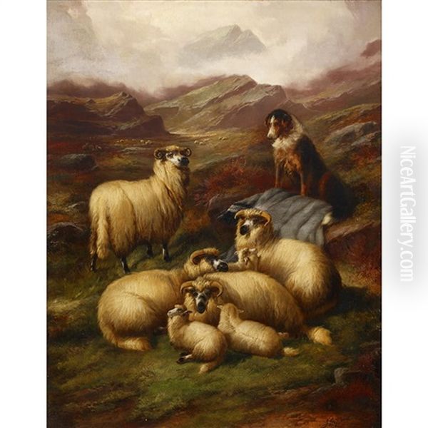 Highland Sheep With Dog Oil Painting by John Gifford