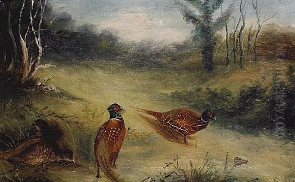 Start Of The Season (+ Famous 12th And Glorious; Pair) by John Gifford