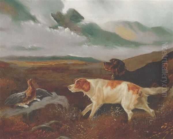 Spaniels Putting Up Bird Oil Painting by John Gifford