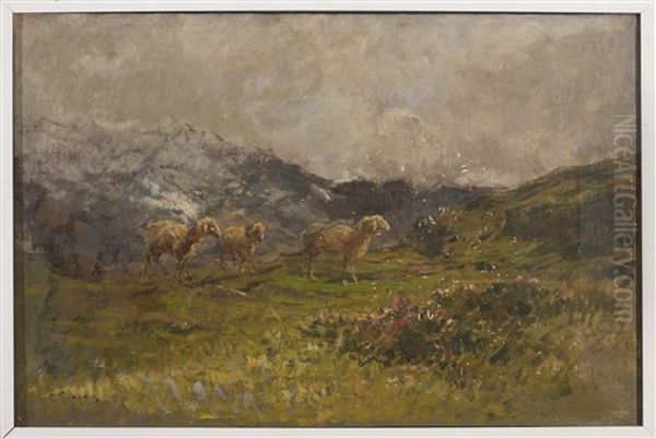 Daybreak In The Mountains: Landscape With Sheep Oil Painting by Eugenio Gignous