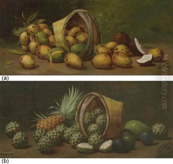 Mangos Y Cocos (+ Anones Y Pina; 2 Works) Oil Painting by Juan Gil Garcia