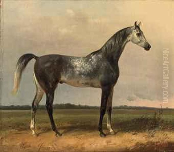 A Gray Horse In The Meadow Oil Painting by Alois Bach