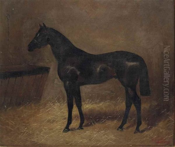 Hunter Bai Dans Son Box Oil Painting by Geoffrey Douglas Giles