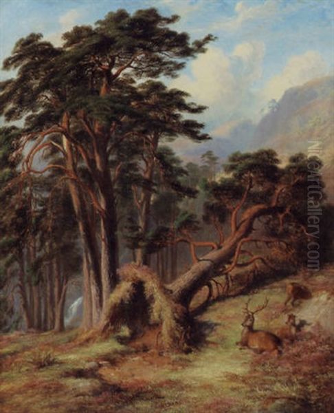 Glen Quoichm Mar Forest - After A Gale Oil Painting by James William Giles