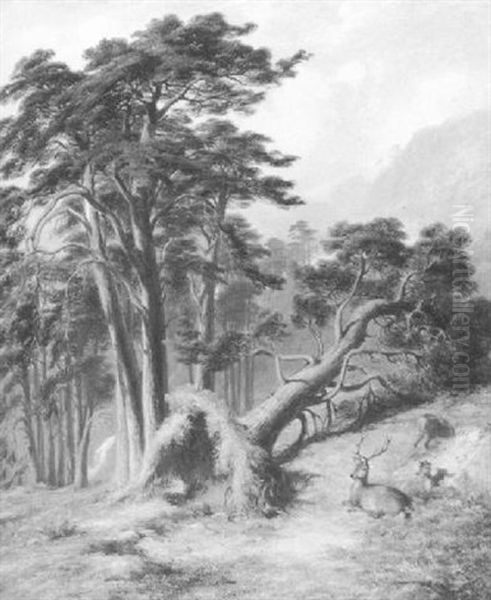 Study In Glen Quooch Mar Forest After A Gale Oil Painting by James William Giles