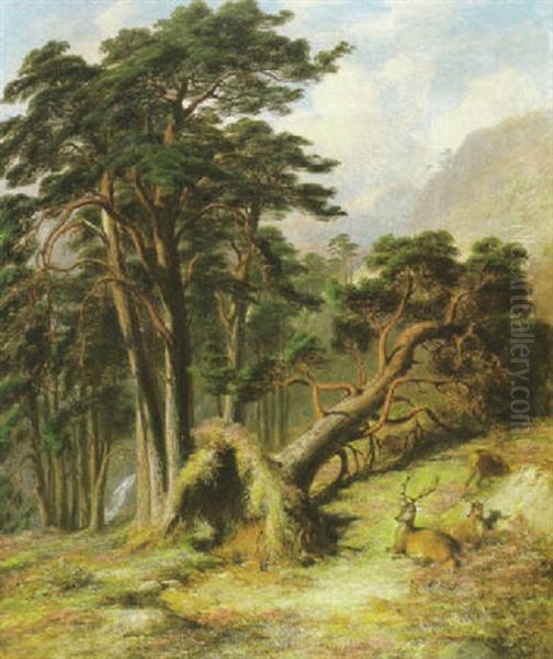 Glen Lubock Mar Forest, After A Gale Oil Painting by James William Giles