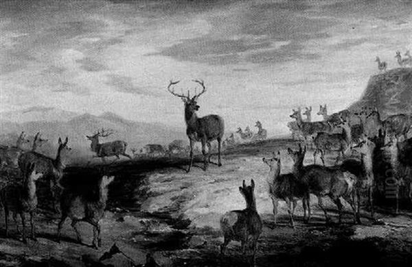 Deer In The Highlands Oil Painting by James William Giles