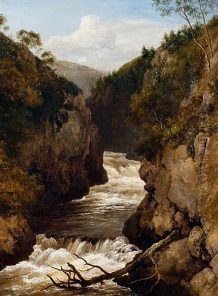 Fall On The Dale Beck, Ingleton, Yorkshire by Edmund Gill