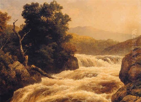 Woody Seenery With Waterfall Oil Painting by Edmund Gill