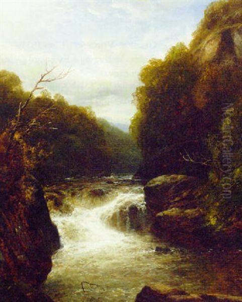 Rapids In A Wooded River Valley Oil Painting by Edmund Gill