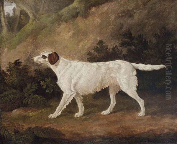 Thorn, The Celebrated Setter Oil Painting by Edmund Ward (E. W.) Gill