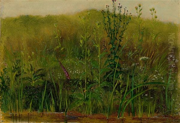 Plants At The Water's Edge Oil Painting by Christian Friedrich Gille