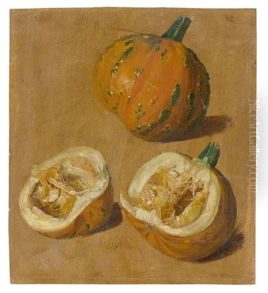 Study Of Two Pumpkins, One Cut In Half Oil Painting by Christian Friedrich Gille