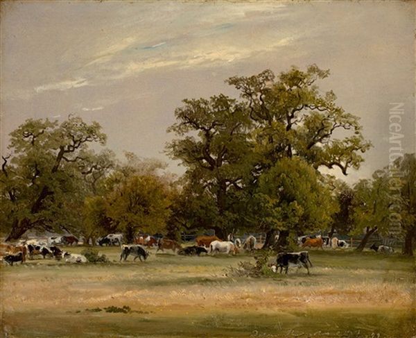 Cows In The Dessau Tiergarten Oil Painting by Christian Friedrich Gille