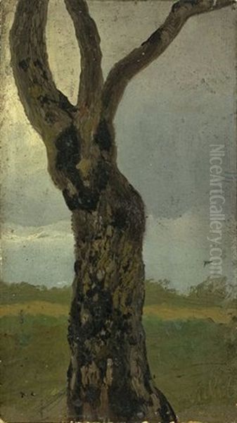 Tree Study Oil Painting by Christian Friedrich Gille