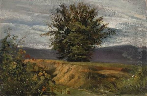 Baum Am Abhang Oil Painting by Christian Friedrich Gille