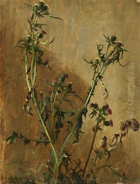 Distel (study) Oil Painting by Christian Friedrich Gille