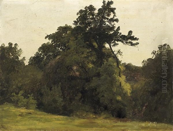 Waldlandschaft. Studie Oil Painting by Christian Friedrich Gille